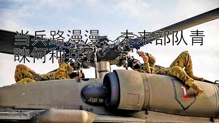 当兵路漫漫    未来部队青睐何种兵？