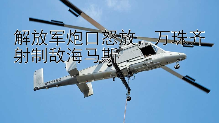 解放军炮口怒放  万珠齐射制敌海马斯