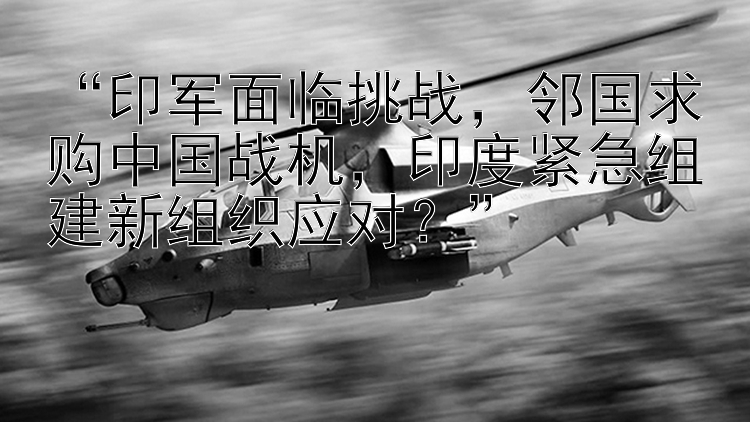  印军面临挑战  邻国求购中国战机 印度紧急组建新组织应对？”